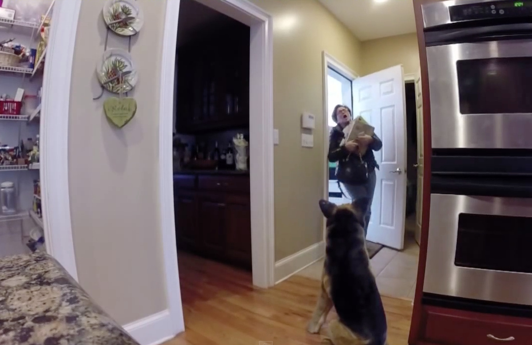 Pranking mom with fake dog | iNFOnews.ca