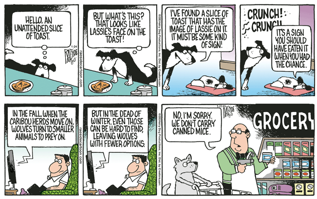 RAESIDE CARTOON | iNFOnews.ca RAESIDE CARTOON | iNFOnews.ca