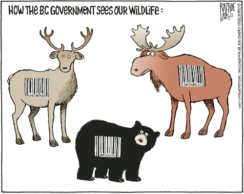 RAESIDE CARTOON | iNFOnews.ca