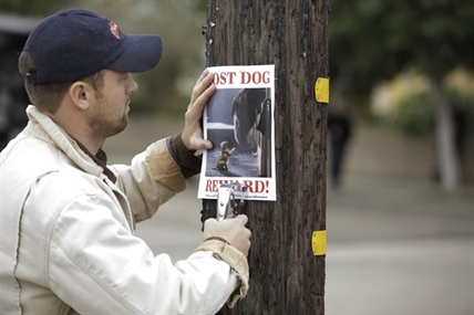 Ten ads to watch out for on Super Bowl Sunday (or just watch them now) | iNFOnews.ca