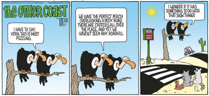 RAESIDE CARTOON | iNFOnews.ca