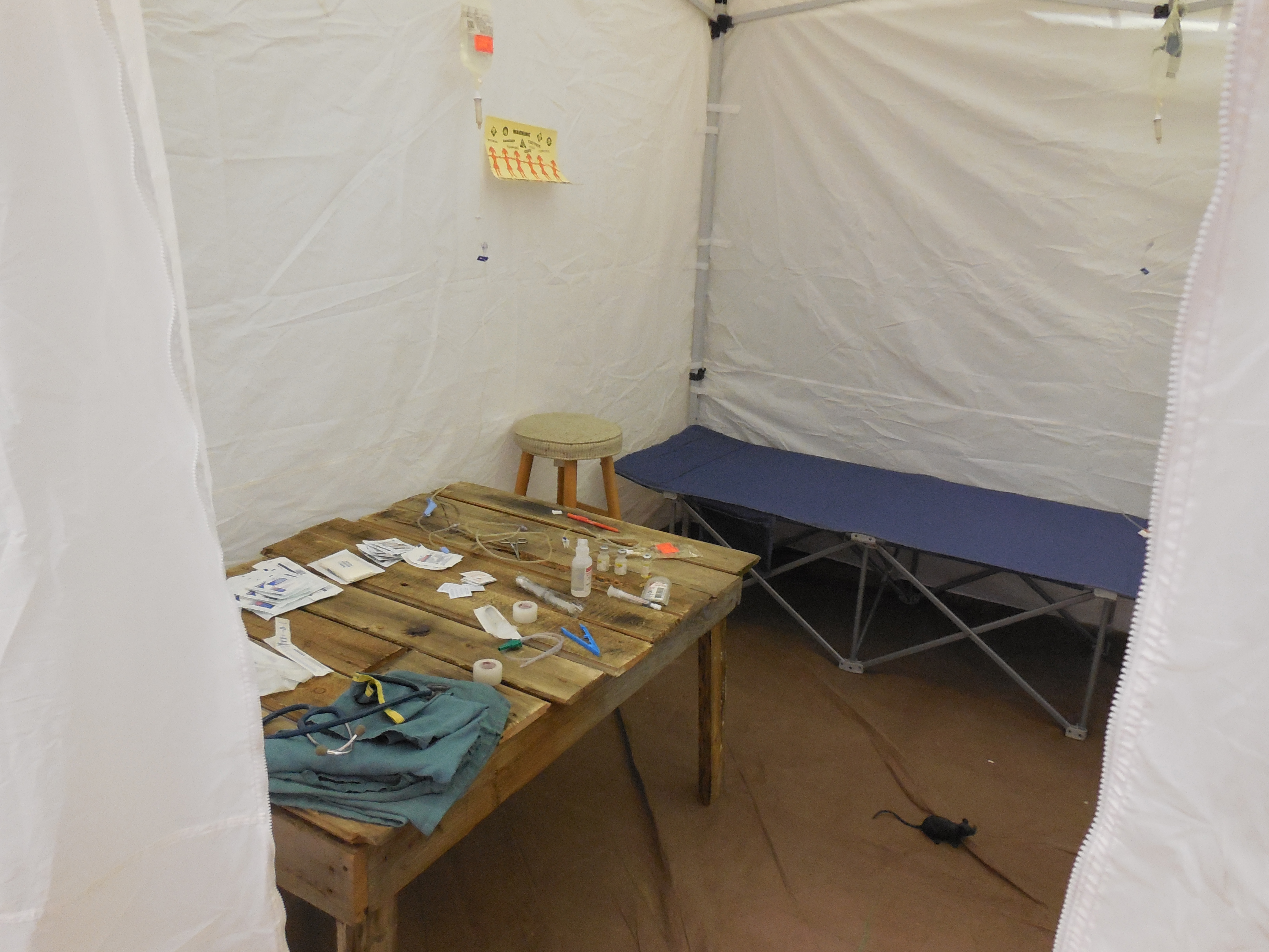 UBC nursing students volunteer at Kelowna’s Global Village | iNFOnews.ca