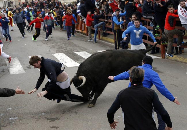 American man gored during a Spanish Carnival bull fiesta | iNFOnews.ca American man gored during a Spanish Carnival bull fiesta | iNFOnews.ca