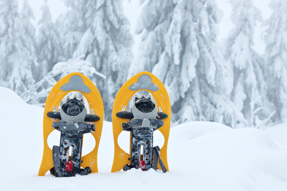 Budget cuts leave volunteers keeping winter activities alive in national parks | iNFOnews.ca Budget cuts leave volunteers keeping winter activities alive in national parks | iNFOnews.ca