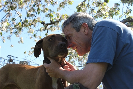 Two dogs euthanized after being poisoned | iNFOnews.ca