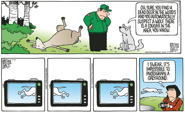 RAESIDE CARTOON | iNFOnews.ca RAESIDE CARTOON | iNFOnews.ca