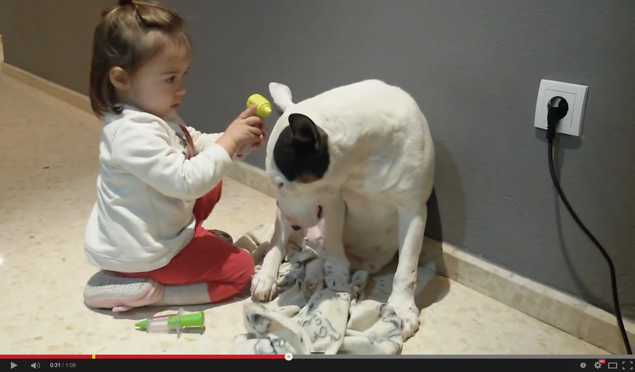 Very patient dog gets adorable toddler checkup | iNFOnews.ca Very patient dog gets adorable toddler checkup | iNFOnews.ca