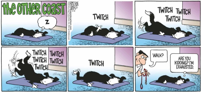 RAESIDE CARTOON | iNFOnews.ca