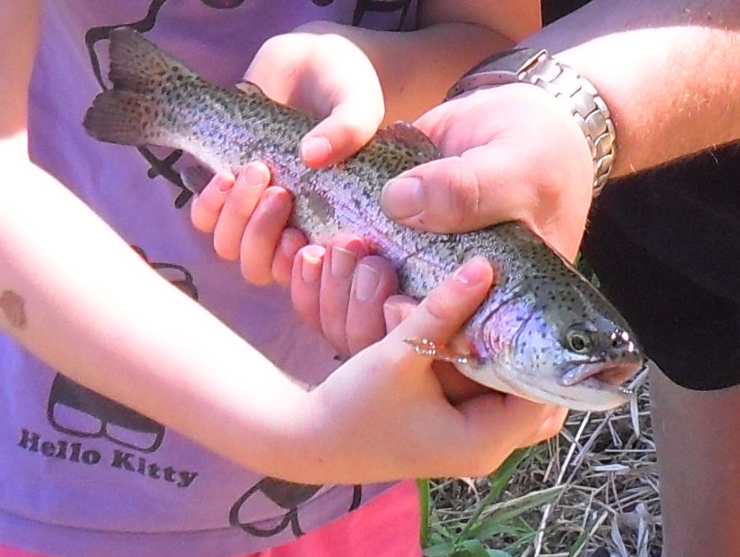 Go Fish program opens in Kelowna parks | iNFOnews.ca Go Fish program opens in Kelowna parks | iNFOnews.ca