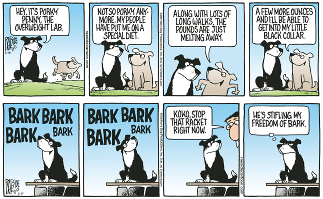 RAESIDE CARTOON | iNFOnews.ca