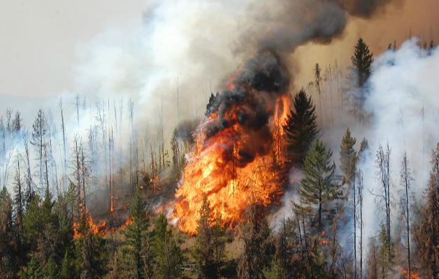 Heat wave in Kamloops has emergency crews prepared | iNFOnews.ca Heat wave in Kamloops has emergency crews prepared | iNFOnews.ca