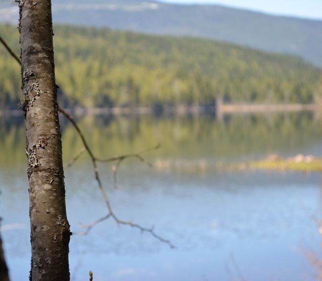 Hot weather a worry for disaster response teams | iNFOnews.ca