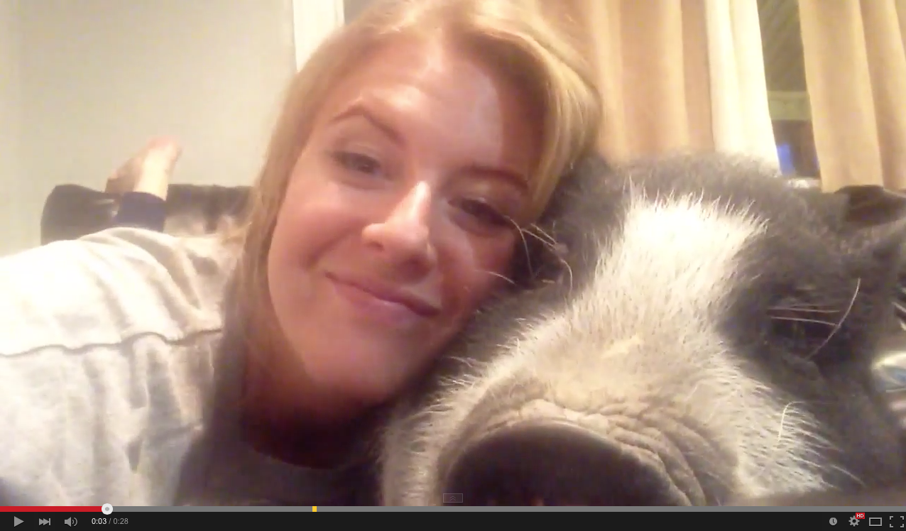 Meet Virginia the grumble pig | iNFOnews.ca