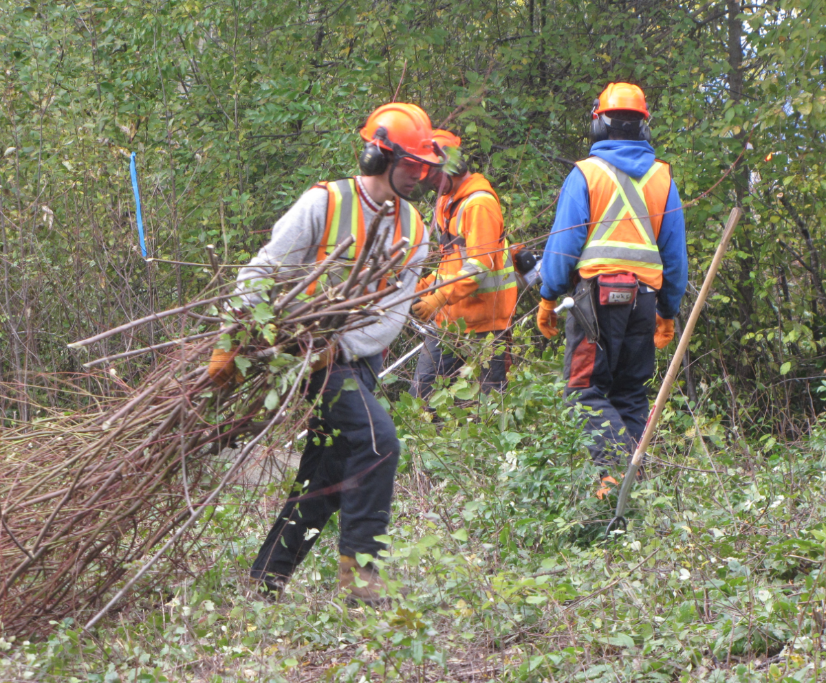Forestry students return to improve park safety | iNFOnews.ca Forestry students return to improve park safety | iNFOnews.ca