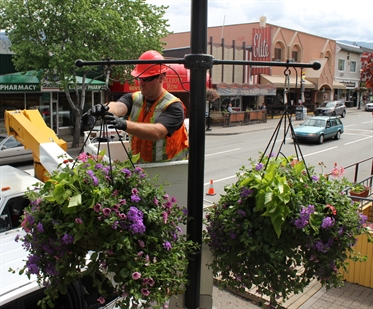 City hangs its best out for summer | iNFOnews.ca