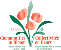 Kelowna Communities in Bloom Committee calls for Green Thumbs | iNFOnews.ca