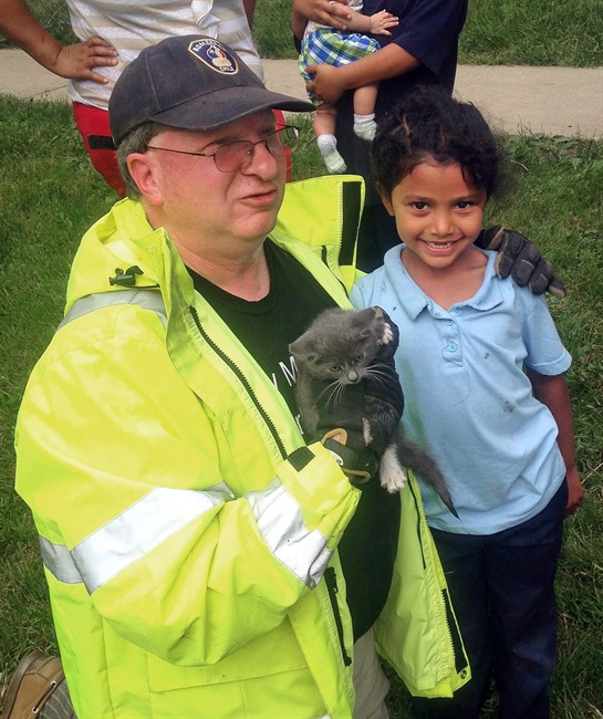 Six-year-old girl helps rescue kitten from storm drain | iNFOnews.ca