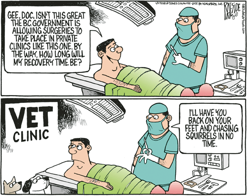 RAESIDE CARTOON | iNFOnews.ca