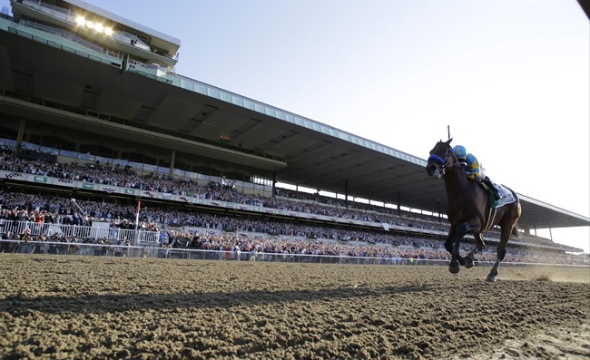 Racing royalty! American Pharoah becomes 1st Triple Crown winner in 37 years | iNFOnews.ca