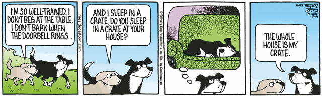 RAESIDE CARTOON | iNFOnews.ca