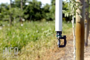 Irrigation in a farmer's field.