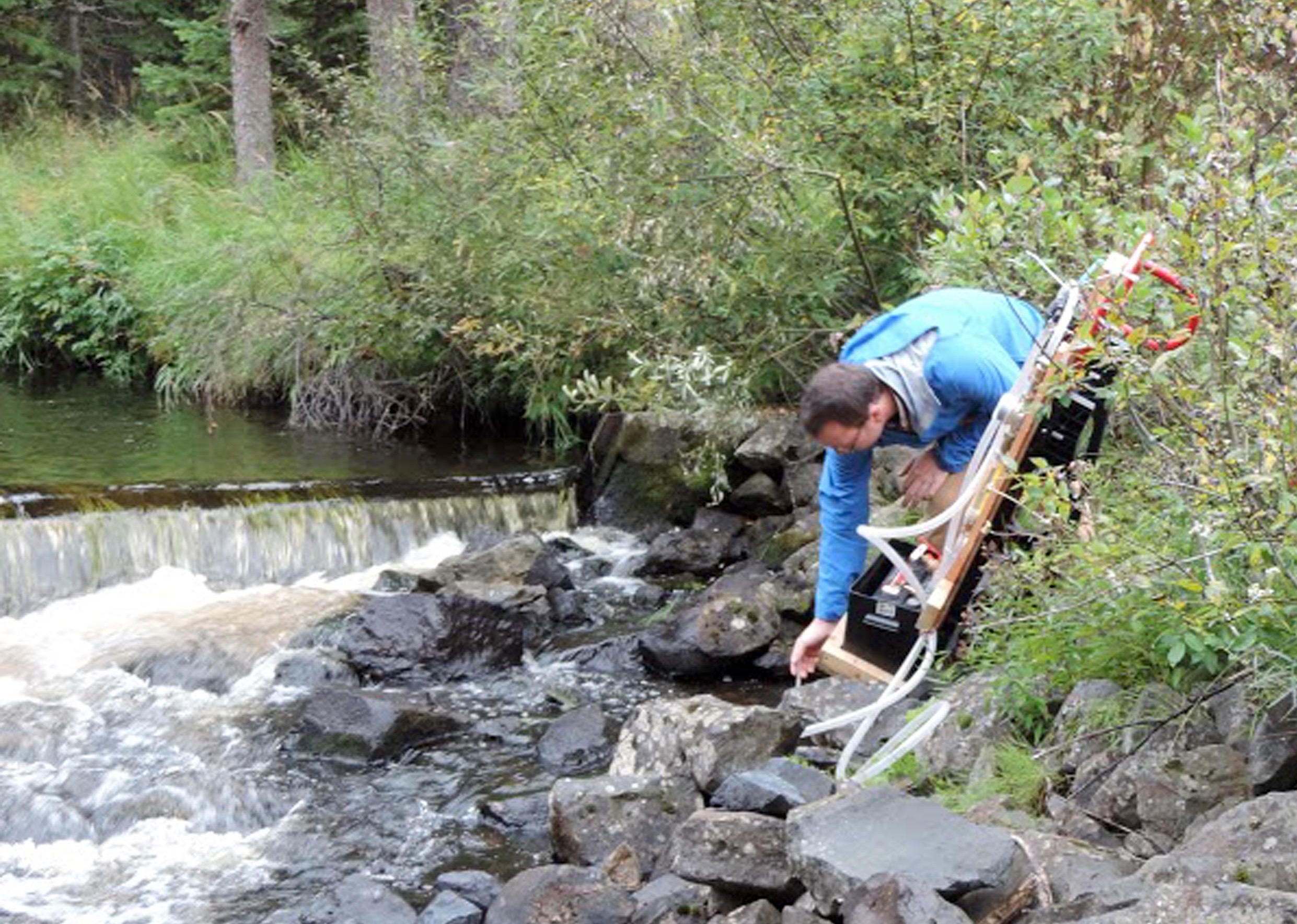 UBC Okanagan water contamination study examines wildlife, livestock waste | iNFOnews.ca
