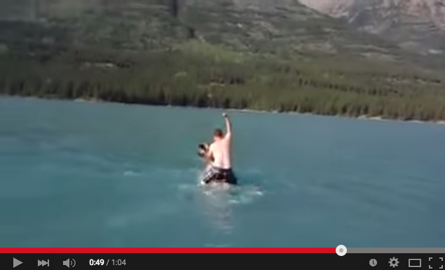 Moose-riding man under investigation: B.C. conservation officer | iNFOnews.ca