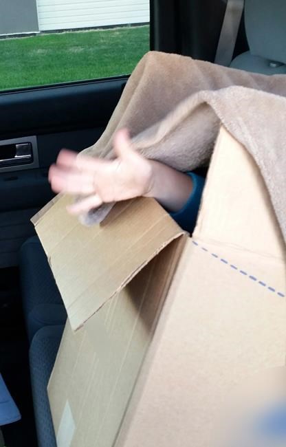 Alberta Mountie finds boy riding in box instead of child seat | iNFOnews.ca