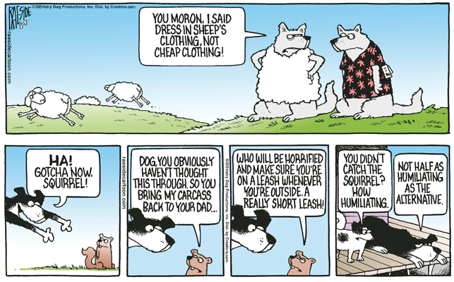 RAESIDE CARTOON | iNFOnews.ca