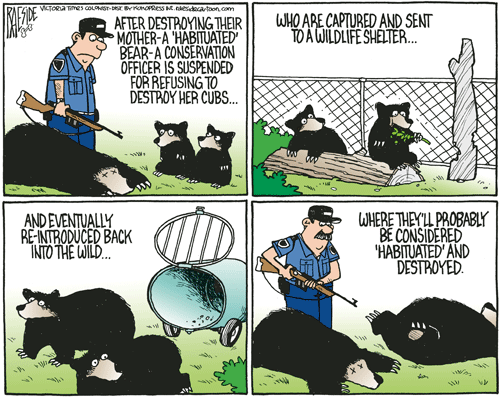 RAESIDE CARTOON | iNFOnews.ca