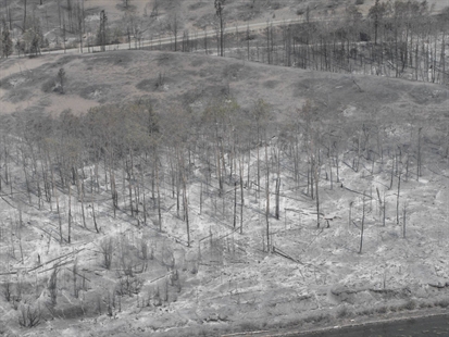 Crews contain 30 per cent of wildfire near Williams Lake | iNFOnews.ca Crews contain 30 per cent of wildfire near Williams Lake | iNFOnews.ca