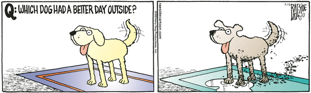 RAESIDE CARTOON | iNFOnews.ca