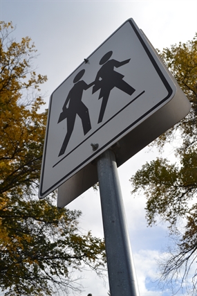 A bright idea to promote road safety in Kamloops | iNFOnews.ca