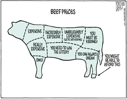 RAESIDE CARTOON | iNFOnews.ca