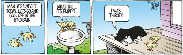 RAESIDE CARTOON | iNFOnews.ca