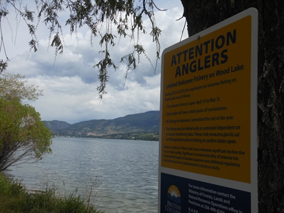 Alcohol allegedly involved in jet ski crash on Wood Lake, Kelowna RCMP need witnesses | iNFOnews.ca