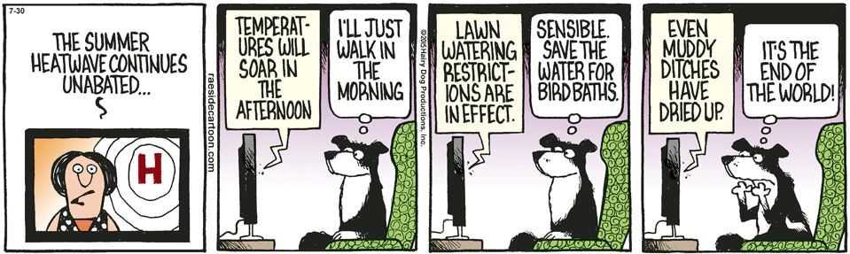 RAESIDE CARTOON | iNFOnews.ca