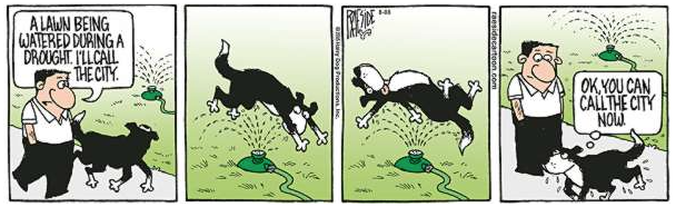 RAESIDE CARTOON | iNFOnews.ca