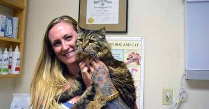 26-year-old cat in US is recognized as oldest living cat by Guinness World Records | iNFOnews.ca