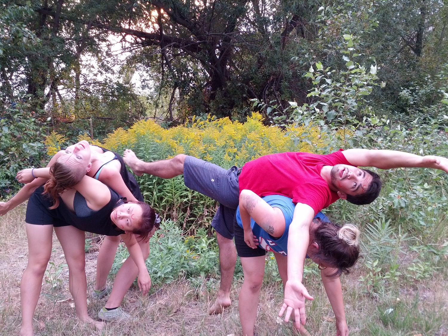 UBC brings interactive performance Murmurations to grist mill | iNFOnews.ca