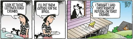 RAESIDE CARTOON | iNFOnews.ca