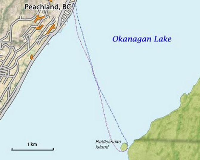 Stand up paddle boarders to race around Rattlesnake Island | iNFOnews.ca