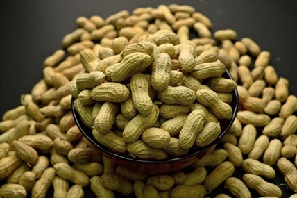 Pediatricians group joins call for early exposure to peanuts to prevent children's allergies | iNFOnews.ca Pediatricians group joins call for early exposure to peanuts to prevent children's allergies | iNFOnews.ca
