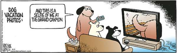 RAESIDE CARTOON | iNFOnews.ca