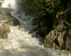 Lumby grandmother performs river rescue | iNFOnews.ca