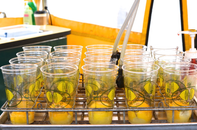 Candy apples, picnic tables and cows: A by-the-numbers count of all things IPE | iNFOnews.ca