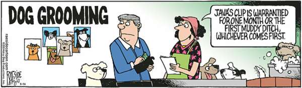 RAESIDE CARTOON | iNFOnews.ca RAESIDE CARTOON | iNFOnews.ca