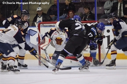 Penticton Vees down Vipers in home opener | iNFOnews.ca