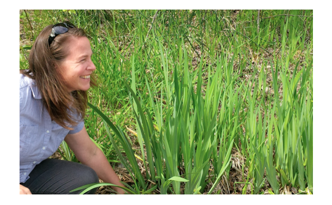 Learn how to fight invasive plants at field day | iNFOnews.ca
