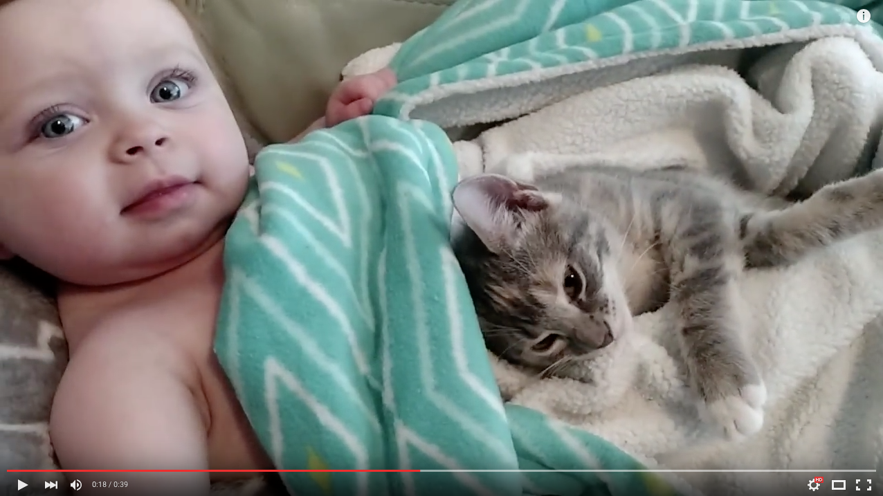 TRENDING NOW: Cutest video ever | iNFOnews.ca TRENDING NOW: Cutest video ever | iNFOnews.ca